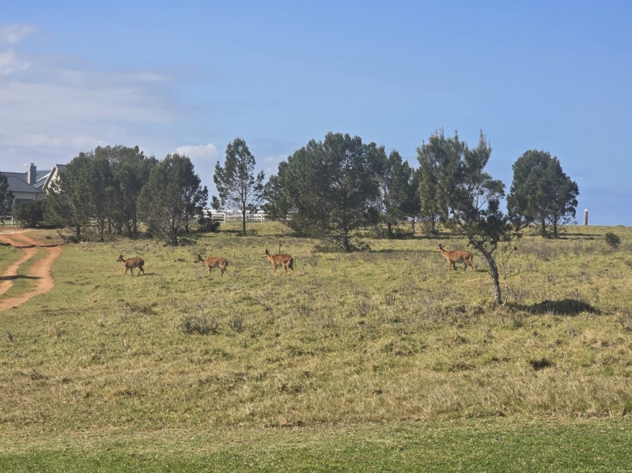 0 Bedroom Property for Sale in Kabeljauws Eastern Cape